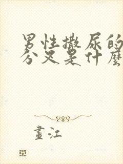 男性撒尿的时候分叉是什么毛病