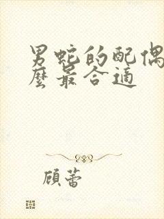 男蛇的配偶属什么最合适