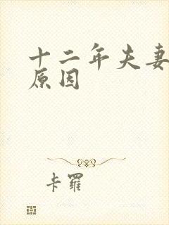 十二年夫妻离婚原因