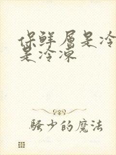 保鲜层是冷藏还是冷冻