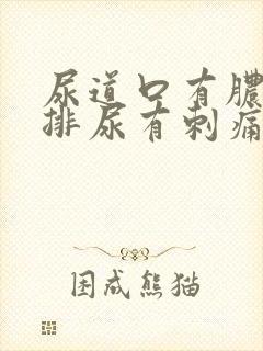 尿道口有脓水 排尿有刺痛感