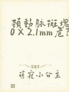 颈动脉斑块7.0×2.1mm危险吗