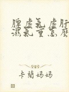 脾虚气虚肝火旺湿气重怎么调理