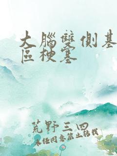 大脑双侧基底节区梗塞