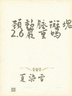 颈动脉斑块厚度2.6严重吗