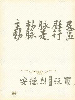 主动脉壁及冠状动脉走行区可见钙化影