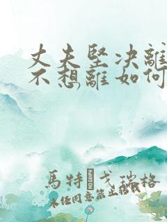 丈夫坚决离婚我不想离如何解决