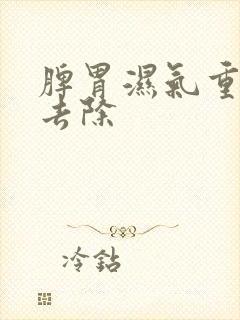 脾胃湿气重怎么去除