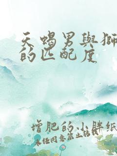 天蝎男与狮子女的匹配度