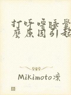 打呼噜睡觉是什么原因引起的