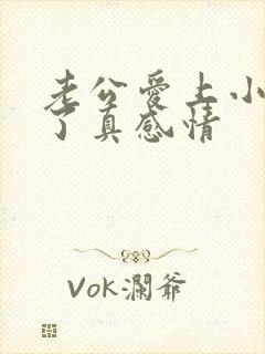 老公爱上小三动了真感情