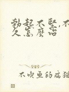 勃起不坚,不持久怎么治