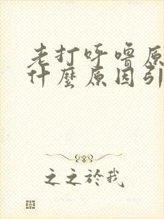 老打呼噜原因是什么原因引起的