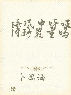 睡眠中呼吸暂停19秒严重吗