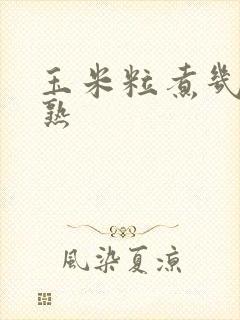 玉米粒煮几分钟熟