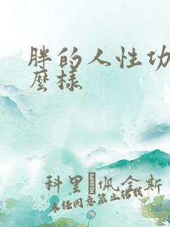 胖的人性功能怎么样