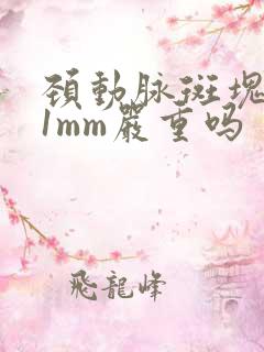 颈动脉斑块3*1mm严重吗