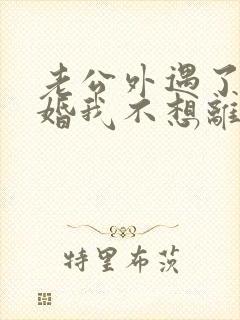 老公外遇了要离婚我不想离婚怎么办