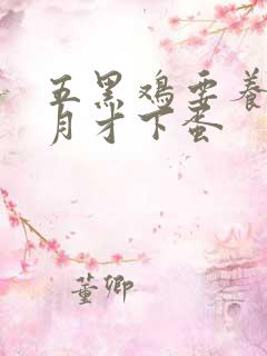 五黑鸡要养几个月才下蛋