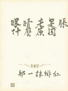 眼睛老是胀痛是什么原因