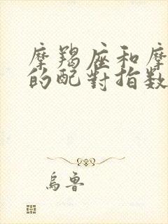 摩羯座和摩羯座的配对指数是多少