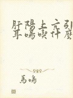 肝阳上亢引起的耳鸣吃什么中成药