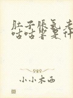 肚子胀气老放屁咕咕响是什么原因