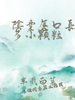 阴囊唇口长了很多小颗粒