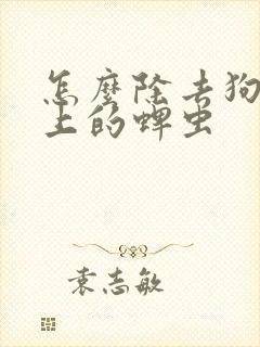 怎么除去狗狗身上的蜱虫