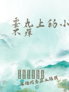 睾丸上的小疙瘩不痒