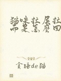 猫咪拉屎拉在外面是怎么回事