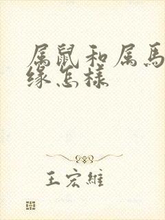 属鼠和属马的姻缘怎样