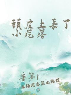 头皮上长了很多小疙瘩