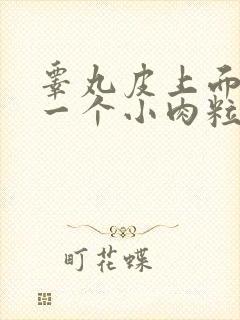 睾丸皮上面长了一个小肉粒