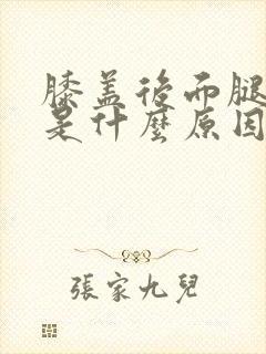 膝盖后面腿弯疼是什么原因