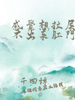 感觉想拉屎又拉不出来肛门有坠胀