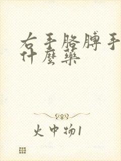 右手胳膊手麻吃什么药