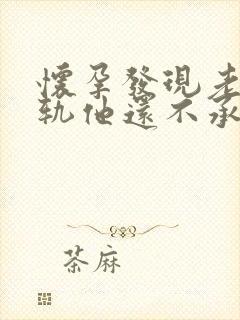 怀孕发现老公出轨他还不承认怎么办