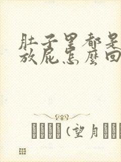 肚子里都是气老放屁怎么回事