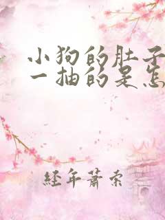 小狗的肚子一抽一抽的是怎么回事