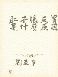 肚子胀反胃想吐是什么原因