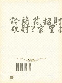 铃兰花招财还是破财?家里摆放需要注意什么?