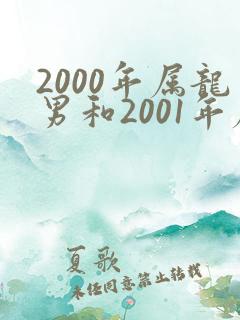 2000年属龙男和2001年属蛇女婚配