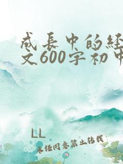 成长中的经历作文600字初中