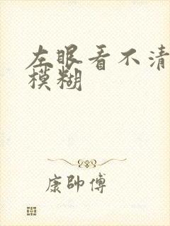 左眼看不清东西模糊