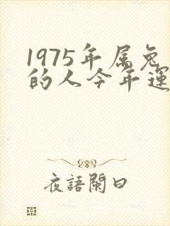 1975年属兔的人今年运势