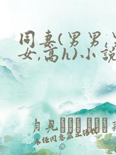 同妻(男男,男女,高h)小说