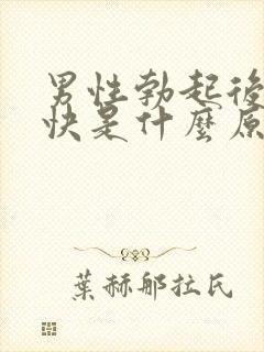 男性勃起后软的快是什么原因