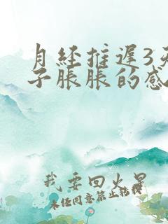 月经推迟3天肚子胀胀的感觉乳房胀痛