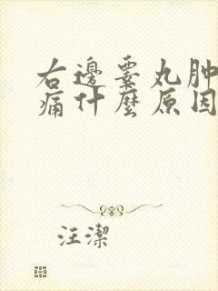 右边睾丸肿大疼痛什么原因